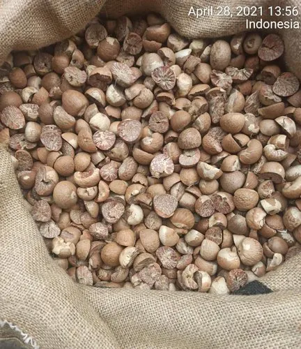 Betel Nuts (Areca Nut)